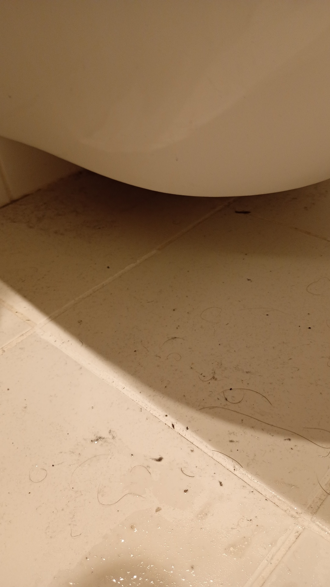 Before photo for Почистване на баня