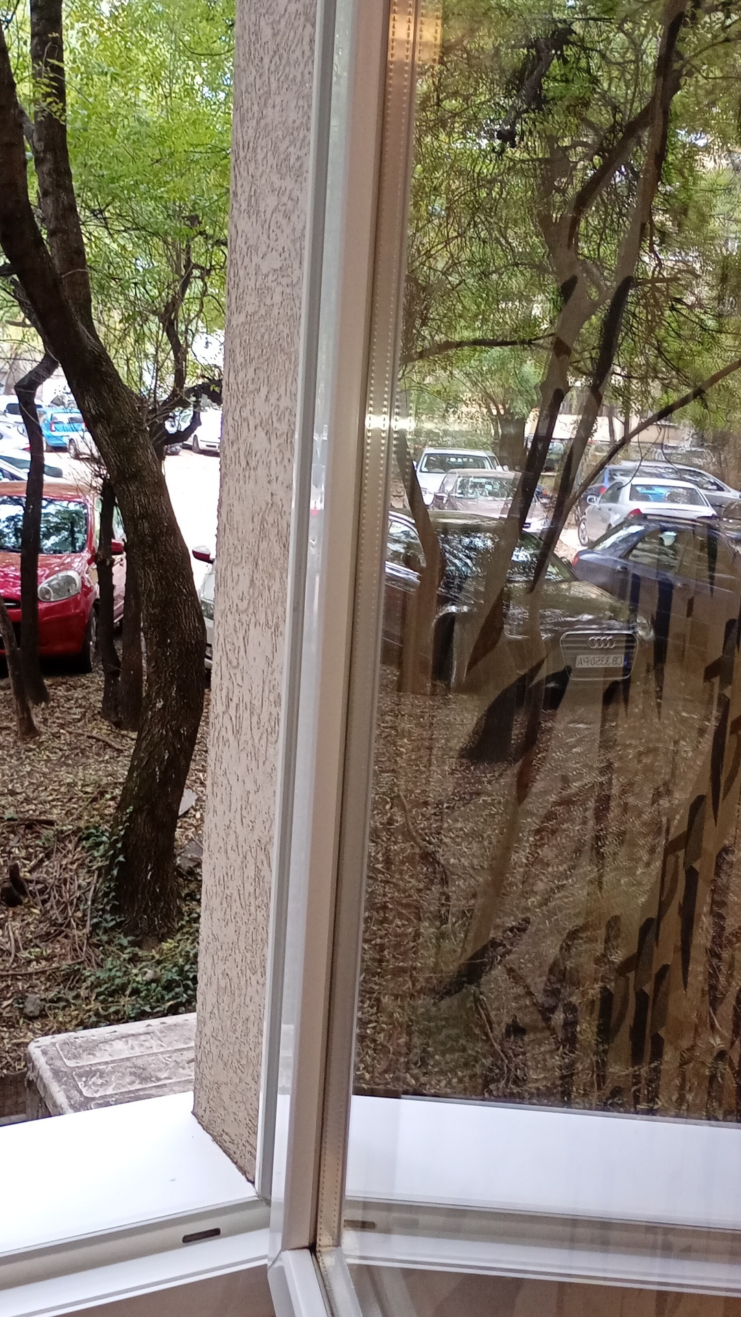 After photo for Deep Cleaning