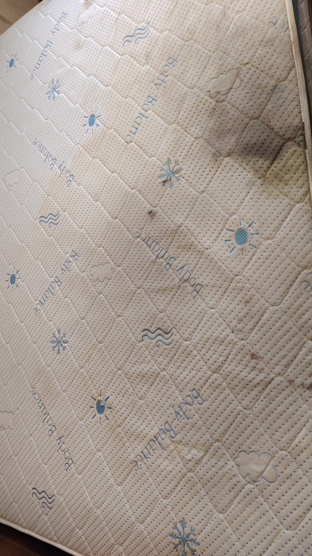 Before photo for Upholstery Cleaning