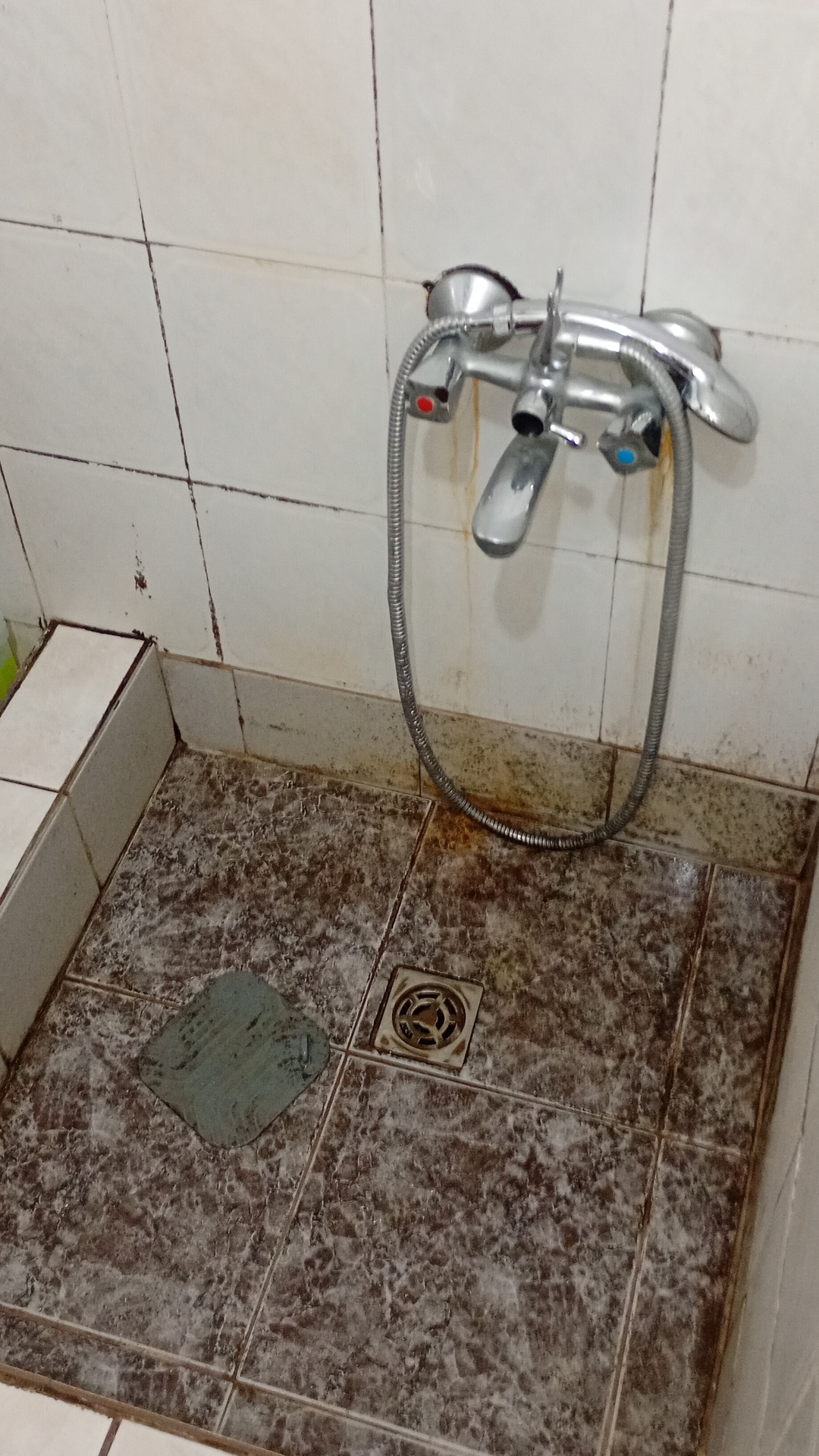 Before photo for Основно почистване