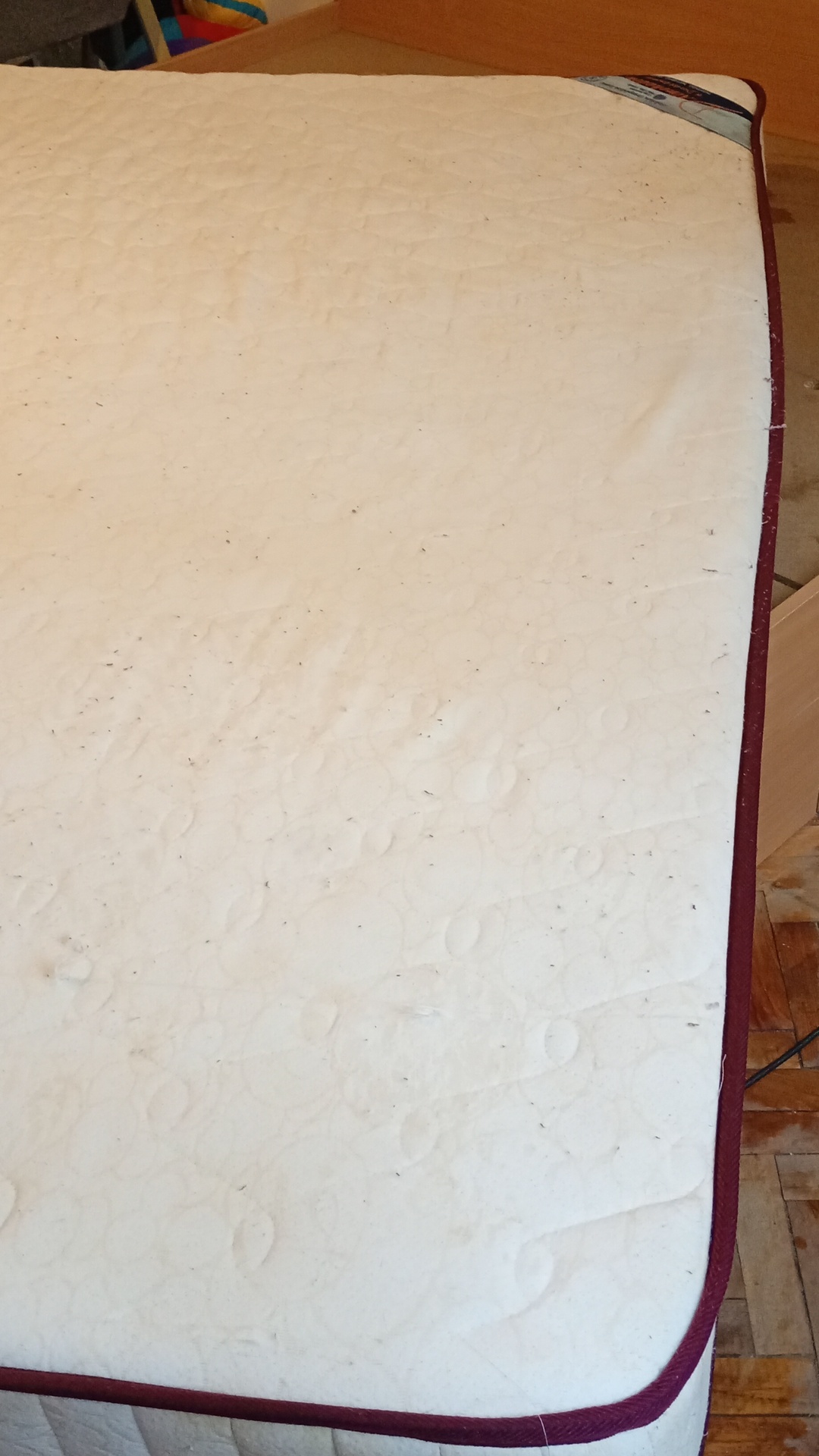 After photo for Upholstery Cleaning