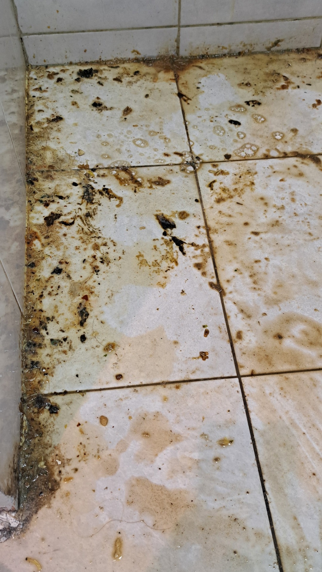 Before photo for End of Tenancy Cleaning