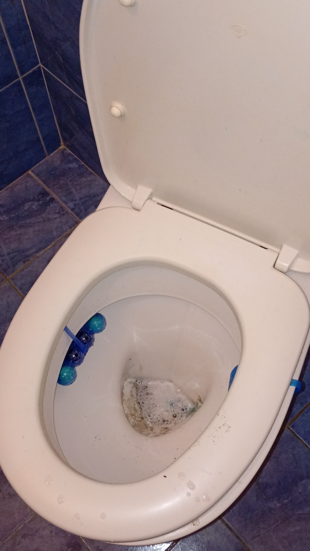 Before photo for Deep Cleaning