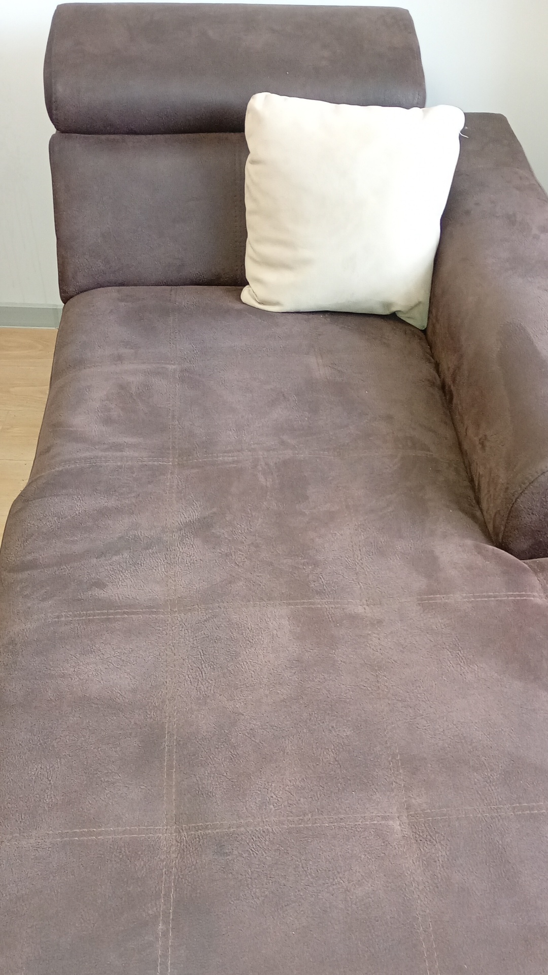 Before photo for Upholstery Cleaning