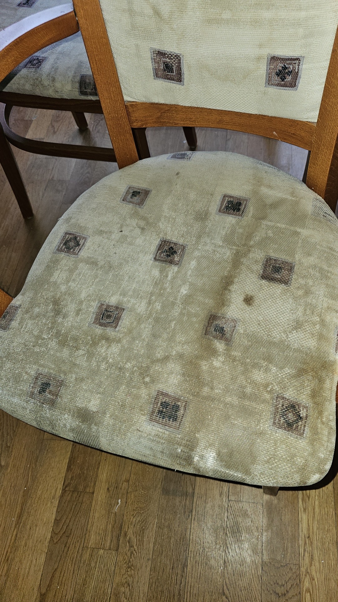Before photo for Upholstery Cleaning