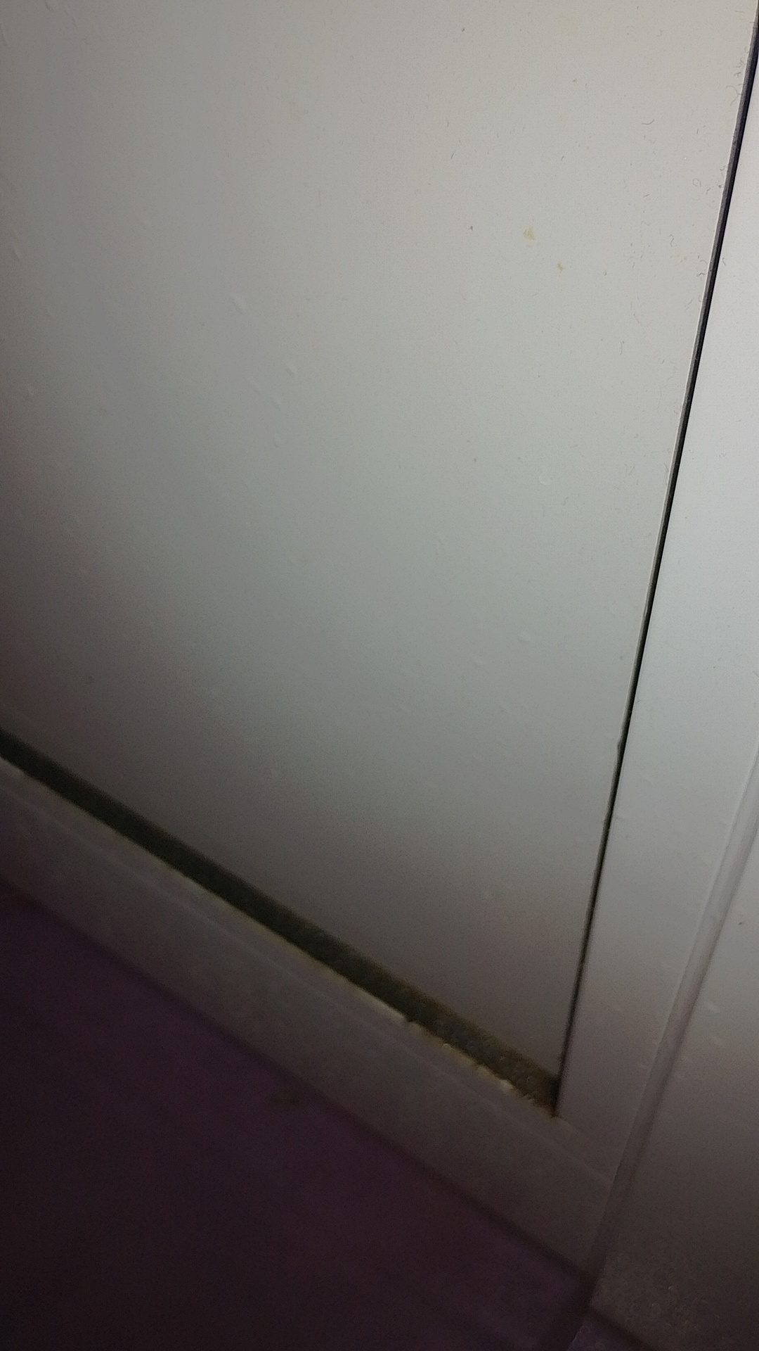 Before photo for Почистване след наематели