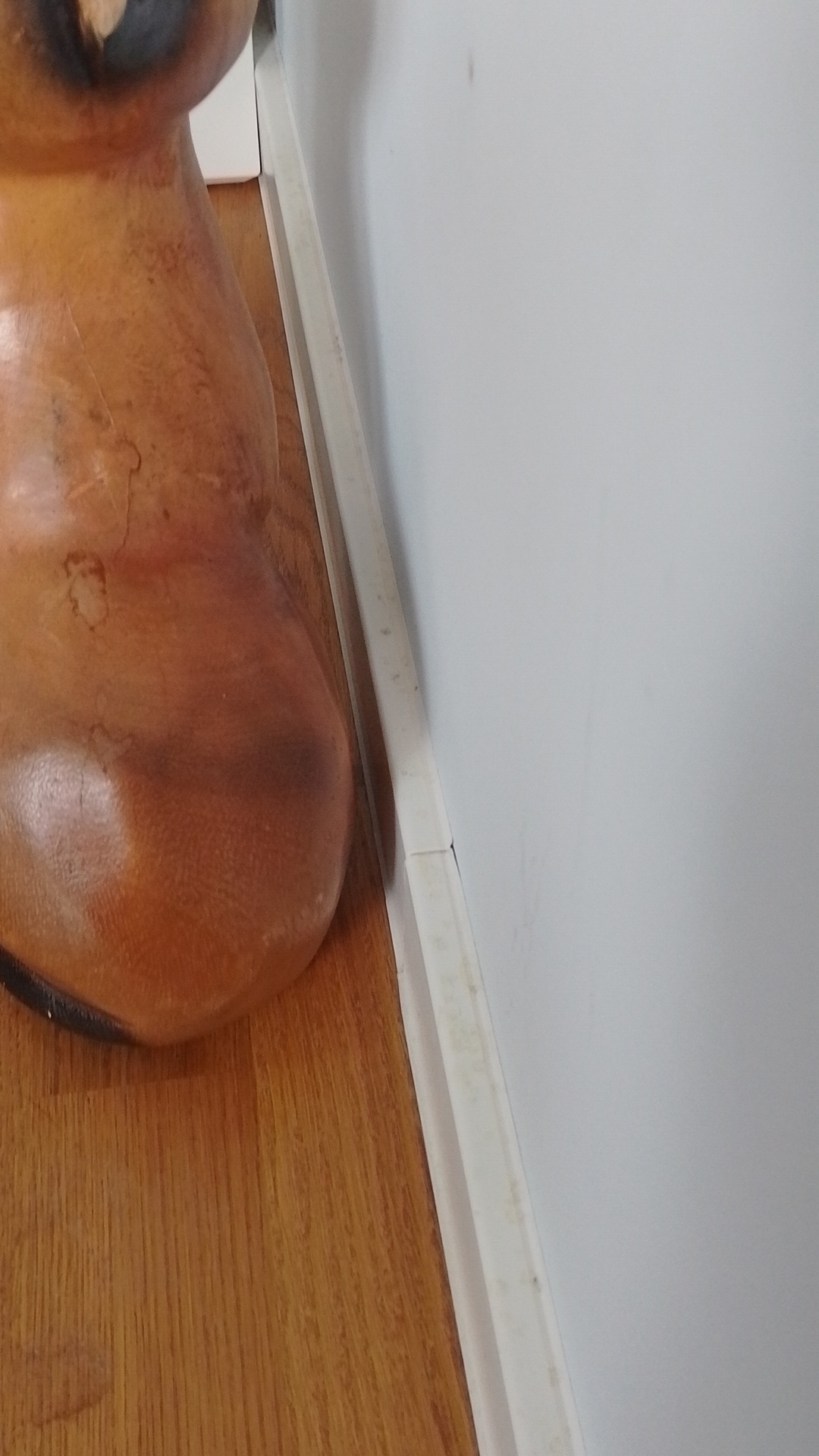 Before photo for Deep Cleaning