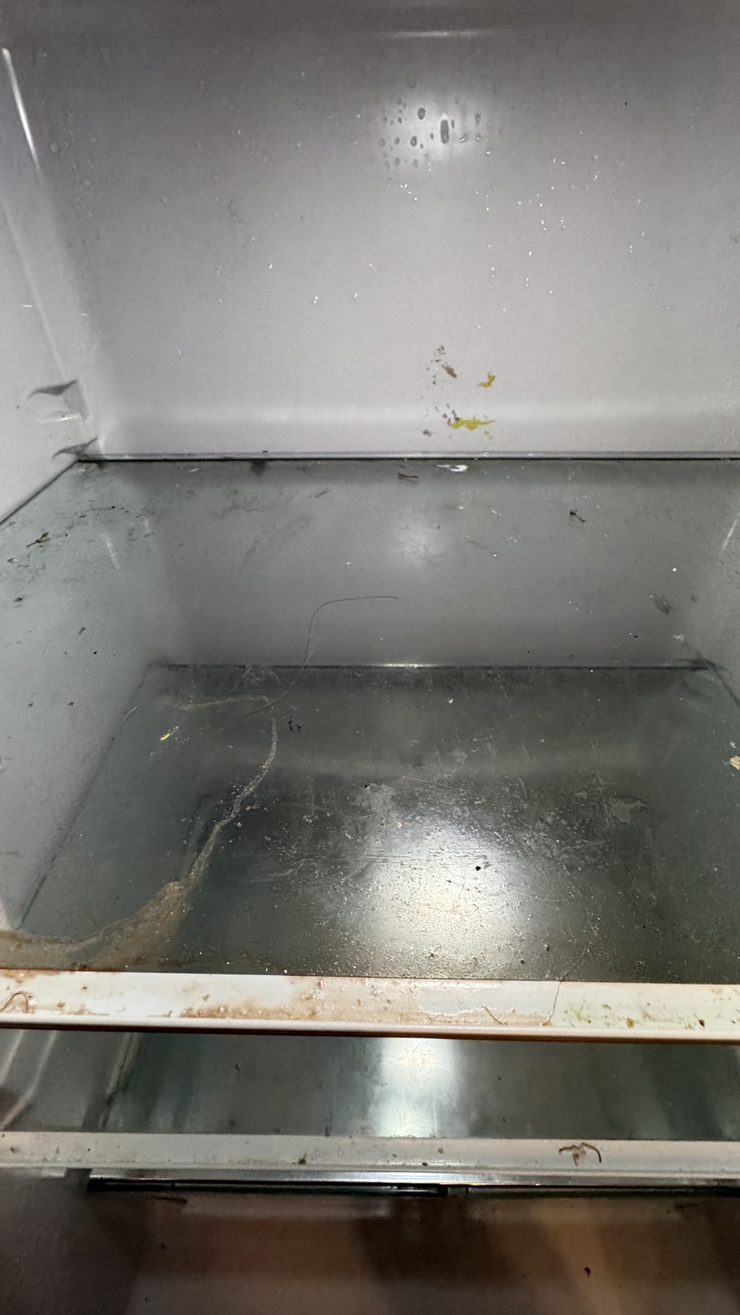 Before photo for Oven Cleaning