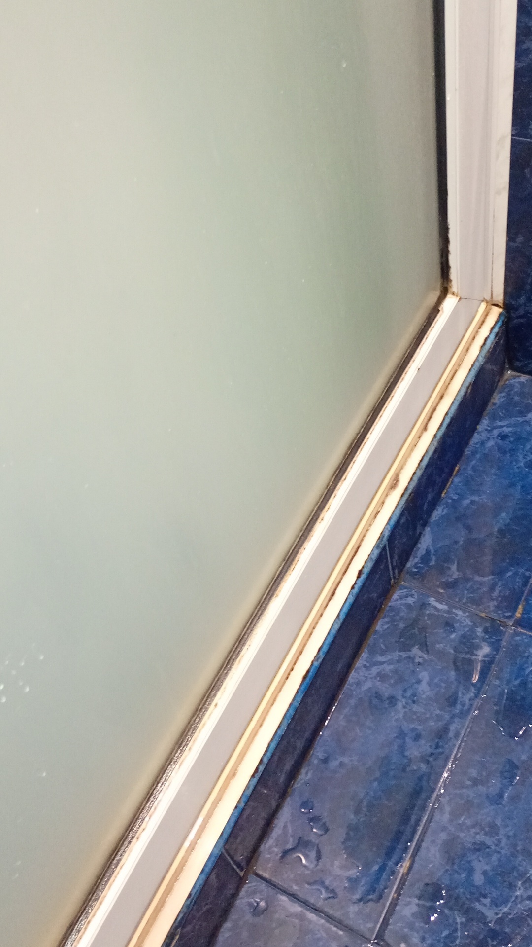 Before photo for Deep Cleaning