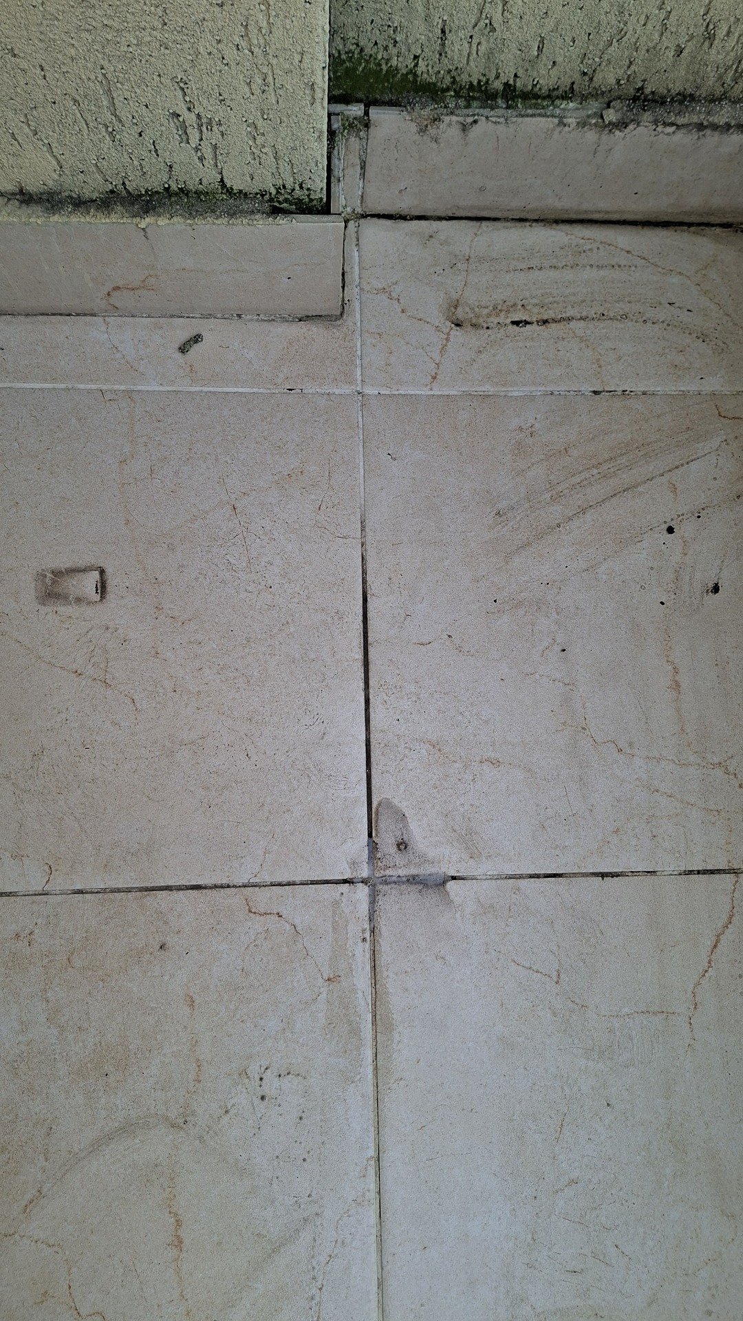 Before photo for Основно почистване