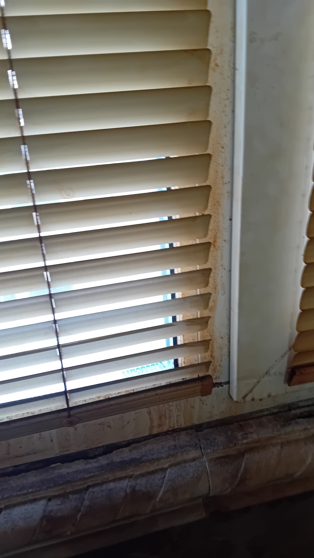 Before photo for Почистване на прозорци